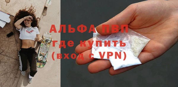 гашик Корсаков