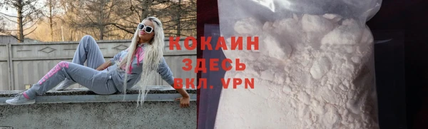 гашик Корсаков