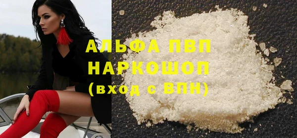 гашик Корсаков