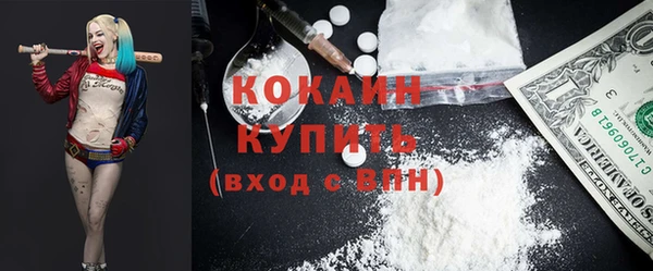 гашик Корсаков