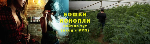 гашик Корсаков