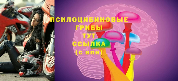 гашик Корсаков